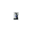 Blackhawk! Verticle Shoulder Holster Scope SZ3 CA - Blackhawk