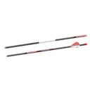 Bloodsport Punisher Arrow 400 Spine 31 6-Pack - Bloodsport