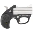 Bond Arms Stinger Stainless .380 ACP 3 Barrel 2-Rounds - Bond Arms