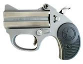 Bond Arms Stinger RS Stainless .380 ACP 2.5 Barrel 2-Rounds - Bond Arms