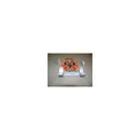 Dednutz TC Encore/Omega EER Low Silver - Dednutz