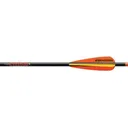 Easton PowerBolt 3 inch BTV FL 20 inch 6P - Easton Archery