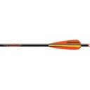 Easton PowerBolt 3 inch BTV MN 22 inch 6P - Easton Archery