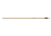 Easton Genesis V2 1820 Orange DZ - Easton Archery