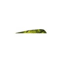 Gateway Feathers TREYLW 4-inch RW 100CT - Gateway