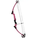 Genesis 15-30/20RH Purple - Genesis Archery