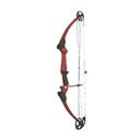 Genesis 15-30/20 RH Red - Genesis Archery