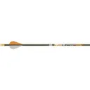 Gold Tip KINETIC Hunter BG 200 SH DZ - Gold Tip Arrows