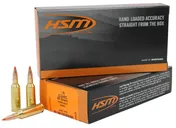 HSM/Hunting Shack Varmint .22 ARC 60 Grain 20-Rounds VM - Hsm/Hunting Shack