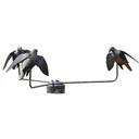 Hunters Edge Wing-It Dove Feeding Frenzy - Hunters Edge