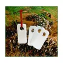 Hunters Specialties 03031 PRIMETIME ScentWICKS 4pk - Hunters Specialties