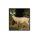 Mckenzie Deer Alert Large - Mckenzie