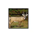 Mckenzie Deer SNEAK Large - Mckenzie