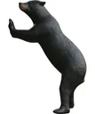 Mckenzie Climbing Bear - Mckenzie