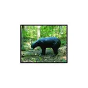 Mckenzie Bear Black Med - Mckenzie