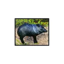 Mckenzie JAVELINA - Mckenzie
