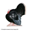 Mckenzie Turkey StrutTING - Mckenzie