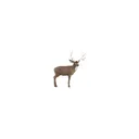 Mckenzie Mule Deer MID - Mckenzie