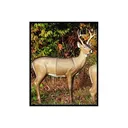 Mckenzie Bow Hunter Deer - Mckenzie