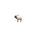 Mckenzie HD Elk MID - Mckenzie