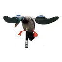 Mojo Hunt Wise HW4401 Baby DRAKe 6V Decoy - MOJO Outdoors