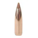 Nosler Ammunition 26100 Balistic HNt 6.5 100 SPTZR 50 - Nosler