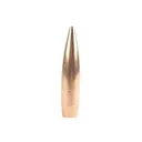 Nosler Ammunition 53080 CUST Comp 224 80 HPBt 250 - Nosler