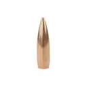 Nosler Ammunition 53155 CUST Comp 308 155 HPBt 100 - Nosler