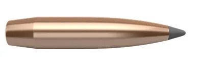 Nosler 60074 Trophy Grade 338WinMag - Nosler
