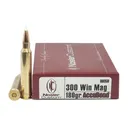 Nosler Trophy Grade Brass .300 Win Mag 180Gr 20-Rounds AccuBond - Nosler