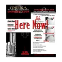 Omega Gun Lock 38/357 Revolver Lock Poly - Omega Gun Lock