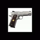 Para USA LTC LTD .45ACP Stainless - Para Usa