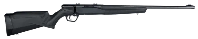 Savage B22 F .22 LR 21 Barrel 10-Rounds - Savage Arms