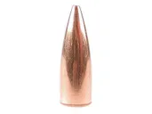 Speer TNT .308Win 125gr 500pk - Speer