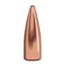 Speer 1206 Bull .243 70 TNTHp 100 - Speer