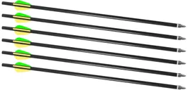 Traditions Firebolt 2216 Arrows 16 Aluminum 6 Count - Traditions Firearms