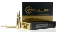 Weatherby Select Plus Brass .300 WBY 195 Grain 20-Rounds Hammer Custom - Weatherby
