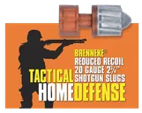 Brenneke THD 20 GA Slug 308-Grain 5-Rounds 2.75 - Brenneke