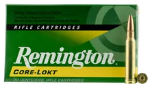 Remington Core-Lokt Brass .338 Win Mag 250-Grain 20-Rounds CLPSP - Remington