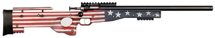 Keystone Crickett Precision Old Glory .22 LR 16.125 Barrel 1-Rounds 4x28mm Scope - Davey Crickett