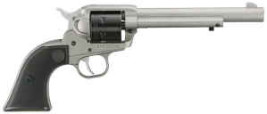 Ruger Wrangler Silver .22 LR 6.5 Barrel 6-Rounds Fixed Sights - Ruger