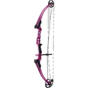 Genesis Mini Bow Purple RH - Genesis Archery