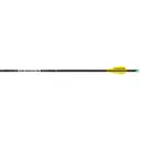 Easton X10 Parallel Pro Arrows 380 AAE Hybrid 26 vanes 6 pk. - Easton Archery