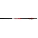 Black Eagle Executioner Crossbow Bolt .001 20 in. 6 pk. - Black Eagle Arrows