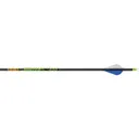 Gold Tip Hunter XT Arrows 500 Raptor Vanes 12 pk. - Gold Tip Arrows