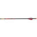 Gold Tip Hunter Arrows 300 Raptor Vanes 12 pk. - Gold Tip Arrows