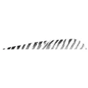 Gateway Barred Feathers White 5 in. RW 50 pk. - Gateway