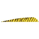 Gateway Barred Feathers Yellow 5 in. RW 50 pk. - Gateway