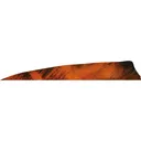 Gateway Shield Cut Feathers Tre Orange 4 in. LW 50 pk. - Gateway