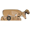 EZ Aim Deer Shooting Target, Brown/White - Allen Company